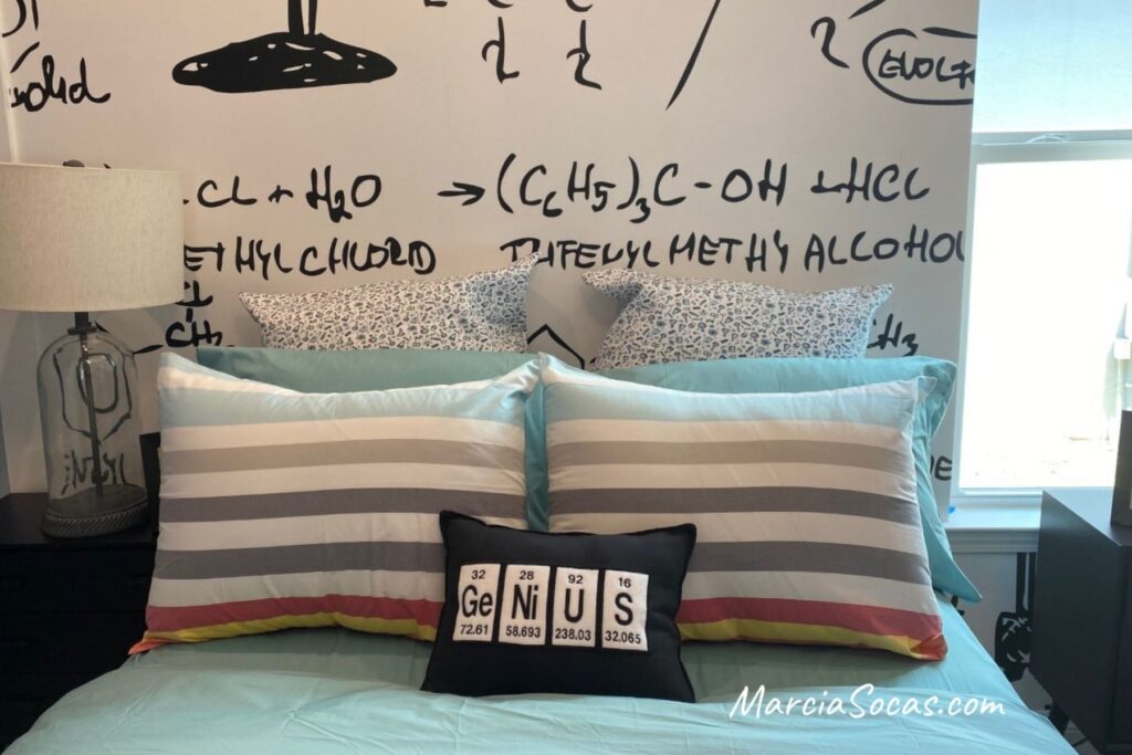 science themed bedroom pillow