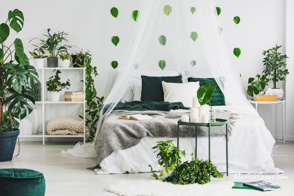 greenery in a plant themed room