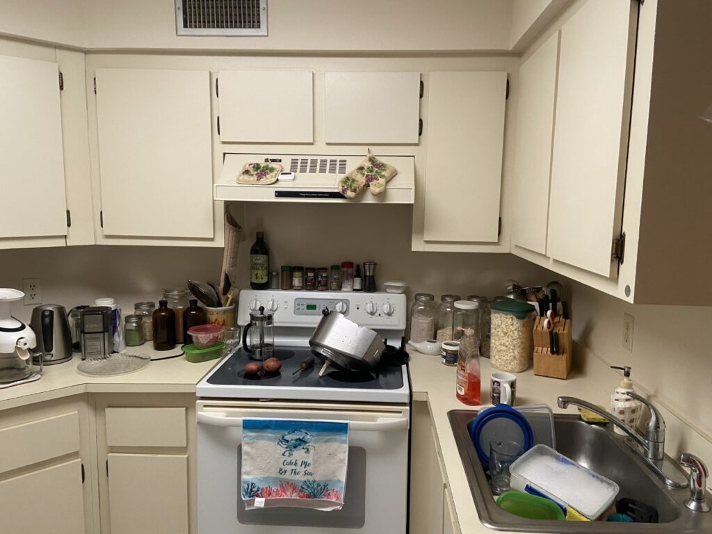 condo kitchen before renovation